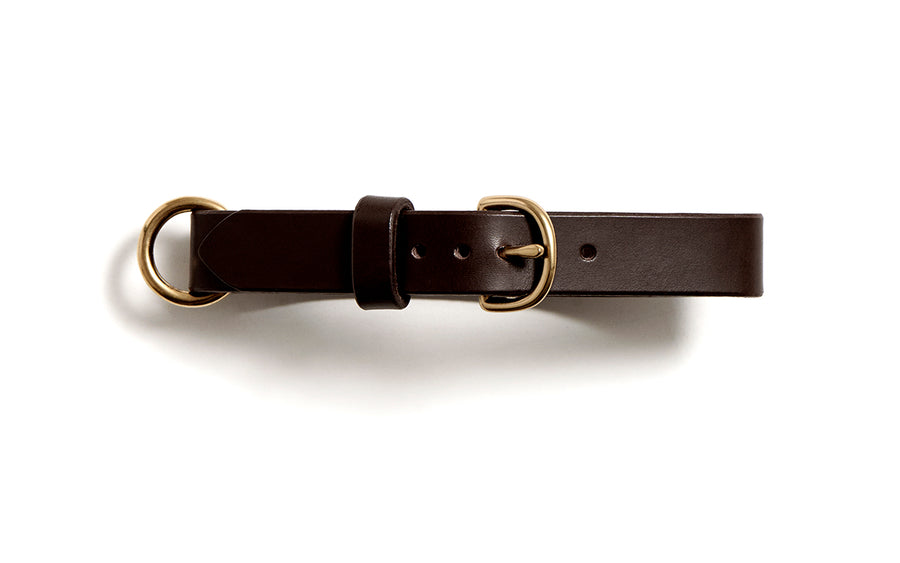 Leather dog collar: MESTER (dark brown)