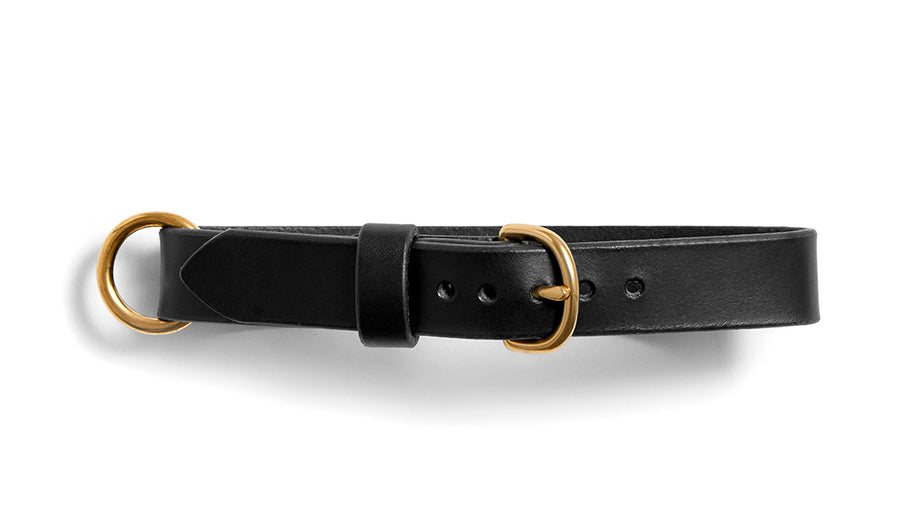 Leather dog collar: MESTER (black)